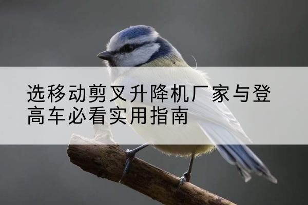张家界电动升降机厂家-选移动剪叉升降机厂家与登高车必看实用指南