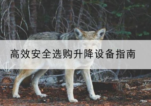 张家界升降货梯厂家推荐-*安全选购升降设备指南