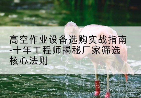 张家界剪叉式升降机厂家-高空作业设备选购实战指南-十年工程师揭秘厂家筛选核心法则